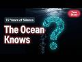 MH370: The 12-Year Silence Just Ended (New Signal Detected)
