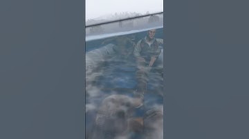 DayZ | New Submarines Are Crazy 🌊🐟…#dayz #dayzxbox #console #gaming #playstation #xbox