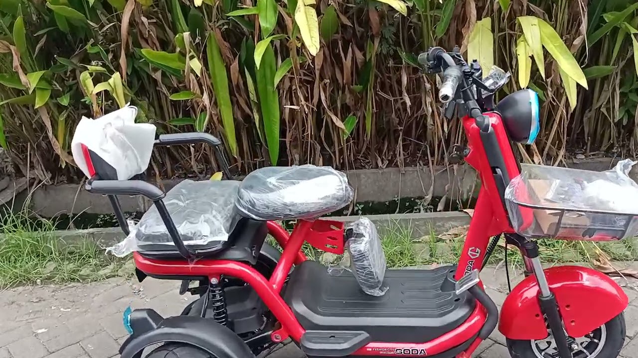 Daftar Harga Sepeda Listrik Roda Tiga Dewasa Telah Menjadi Gaya di Kalangan Anak Muda Sepeda listrik roda 3 new goda - YouTube