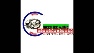 Nectar T_-_Nyarara kuChema PROD BY DJ SICCO TEE MUSIC ZW+263 774 253 455))