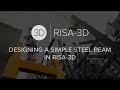 Designing a simple steel beam in risa3d