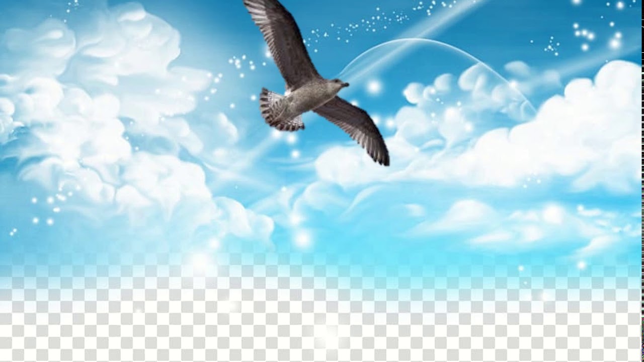 Using Morph Transition in PowerPoint Presentation to Create Animated Story