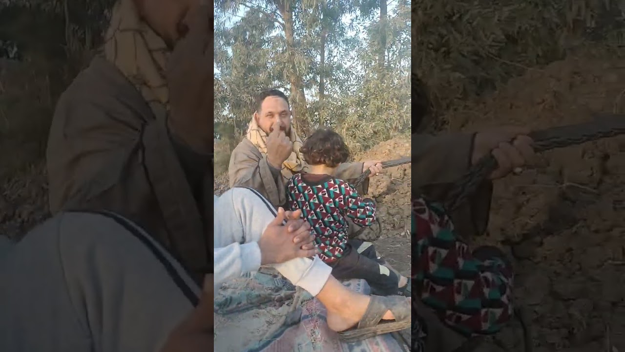 خيل الشيخ محمد رخا المحله الكبرى