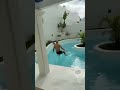 PART 3 | First look inside the villa! | Ray Ban Meta