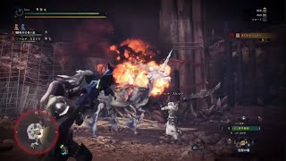 [MHWアイスボーン]ハンターさんもモンスターも調査したい😆🎶