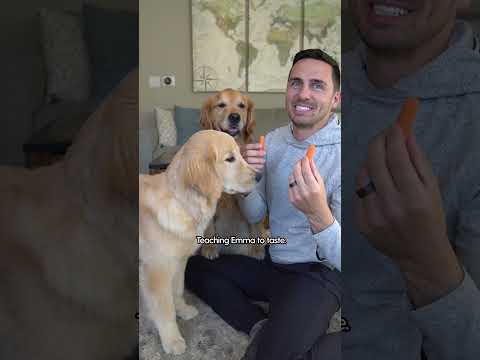 This Dog Meets Her New Best Friend  | The Dodo