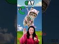 ABC Song for Kids ｜ A is for Alpaca ｜ Learn Alphabet Words