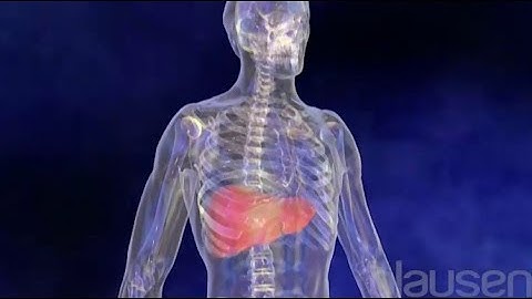 Hepatitis C Animation