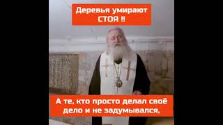 Деревья умирают стоя...