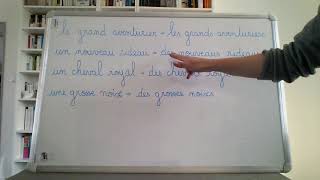 Vidéo sur le pluriel des noms et adjectifs en x