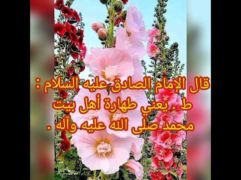 ما معنى ط حديث اهل البيت علي العروة الوثقى