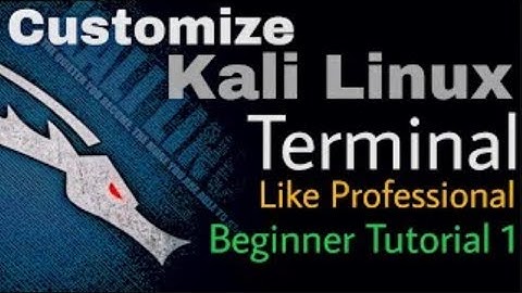Make Kali Linux terminal like of a Pro Hacker. || Customize terminal for a cool look and easy use.