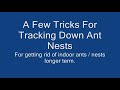 Indoor Ants - Tips & Tricks For Finding The Nest Mp3 Song