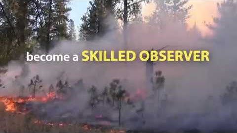 Introduction to Fire Behavior Fuel Models