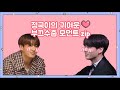 [방탄소년단 정국] 귀여운 정국이의 부끄 수줍 모먼트 모음(bts jungkook cute shy moment)