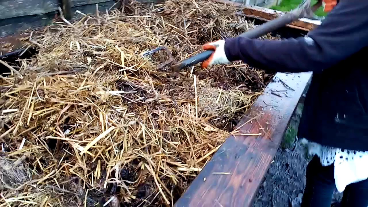 composting horse manure. YouTube