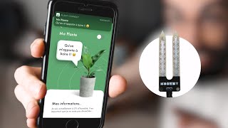 J'ai codé une application pour mes plantes