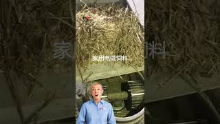 Best Recomendation Animal Feed Pellet Mill