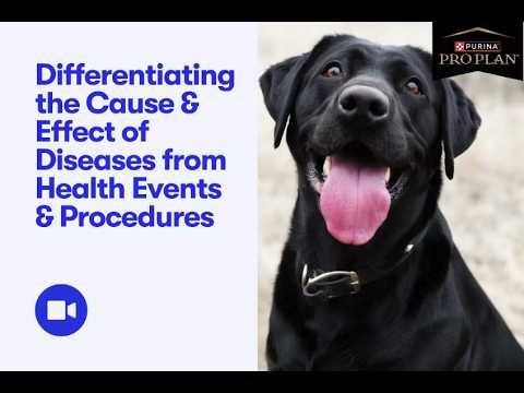 Good Dog Webinar: Differentiating the Cause & Effect of Diseases from Health Events & Procedures