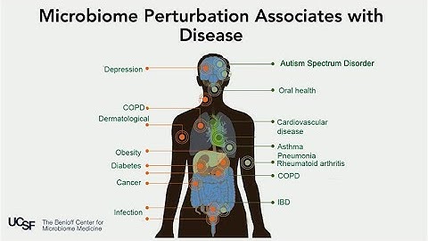 THE HUMAN MICROBIOME: A New Frontier in Health
