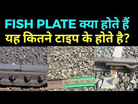 वीडियो: फिश प्लेस कैसे खेलें 2