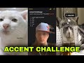 TikTok Accent Challenge Compilation | TikTok Compilation