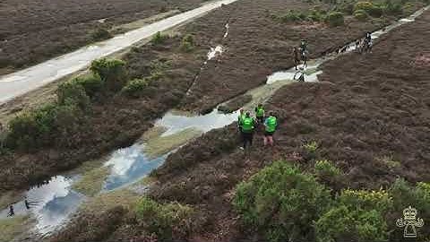 New Forest Bloodhounds - Hunting the Clean Boot