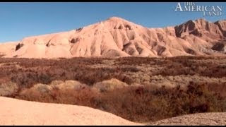 The desert around california's death valley is rich with joshua trees,
junipers and wildlife. but mining other industrial development
threaten this fragi...