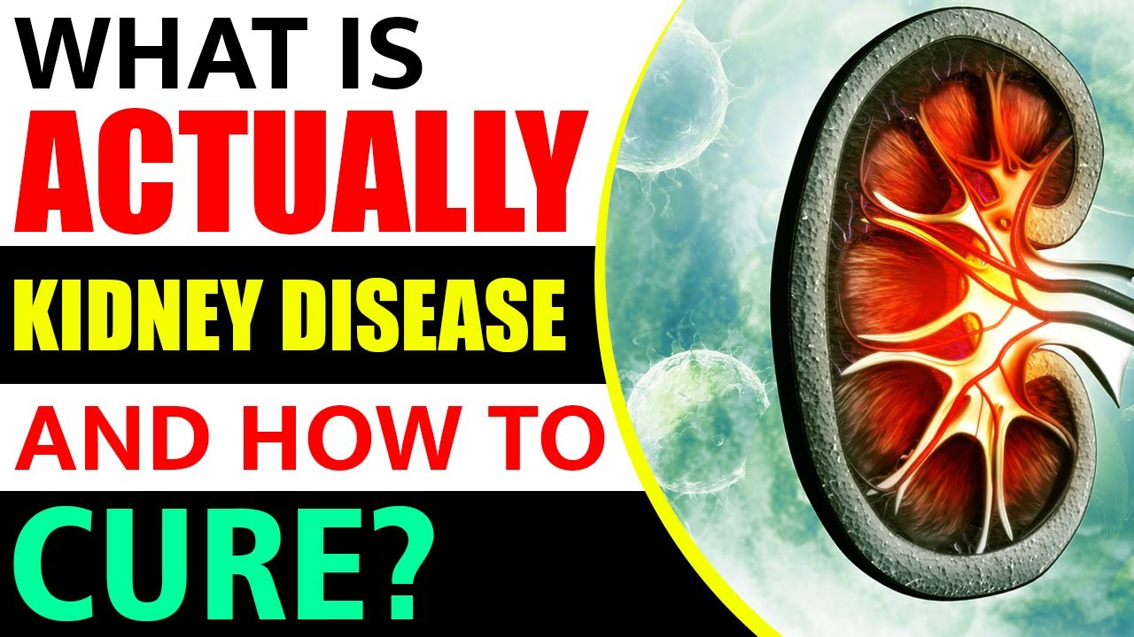 What Is Actually Kidney Disease And How To Cure Kidney Treatment In India YouTube