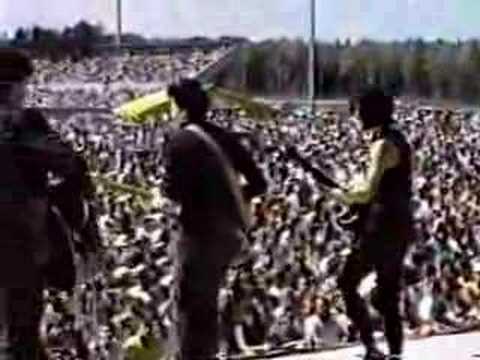 The Washington Squares - Greenback Dollar