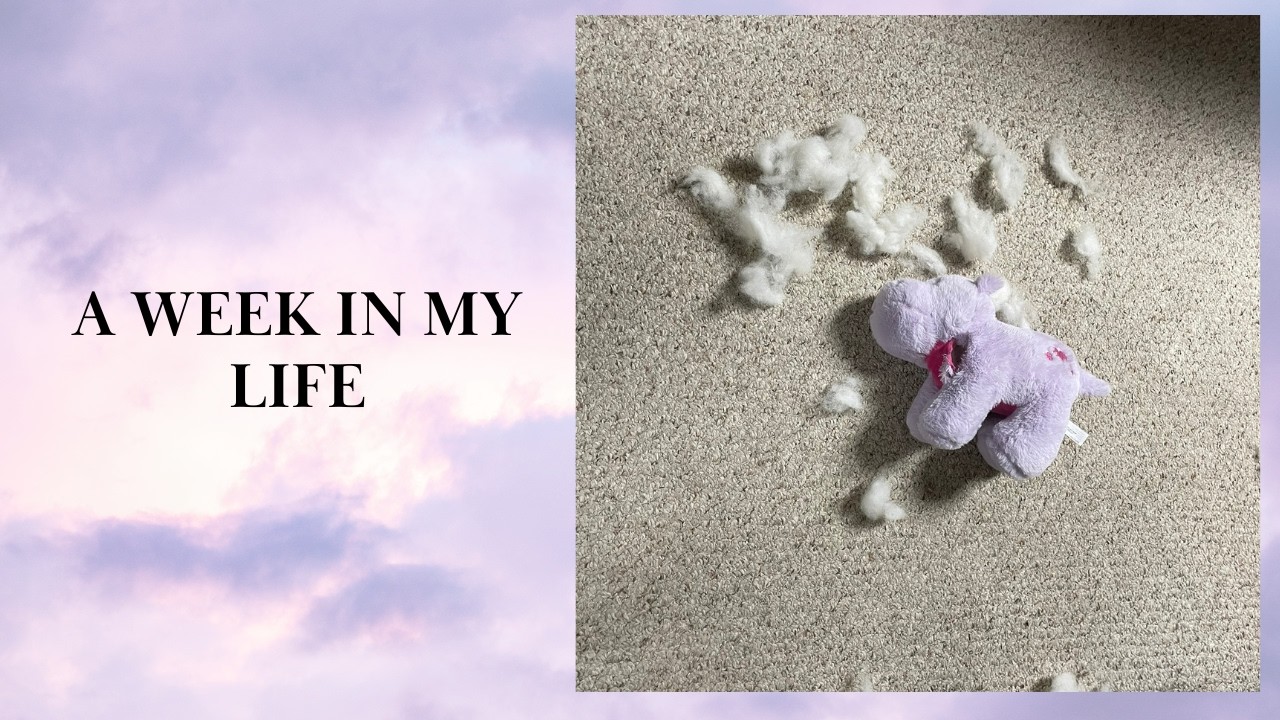 A Week in my Life as an Author with a Day Job