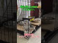 誰か私を頼むから出してください！