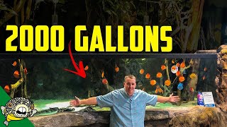 I Cant Believe This Is A Chain Store...