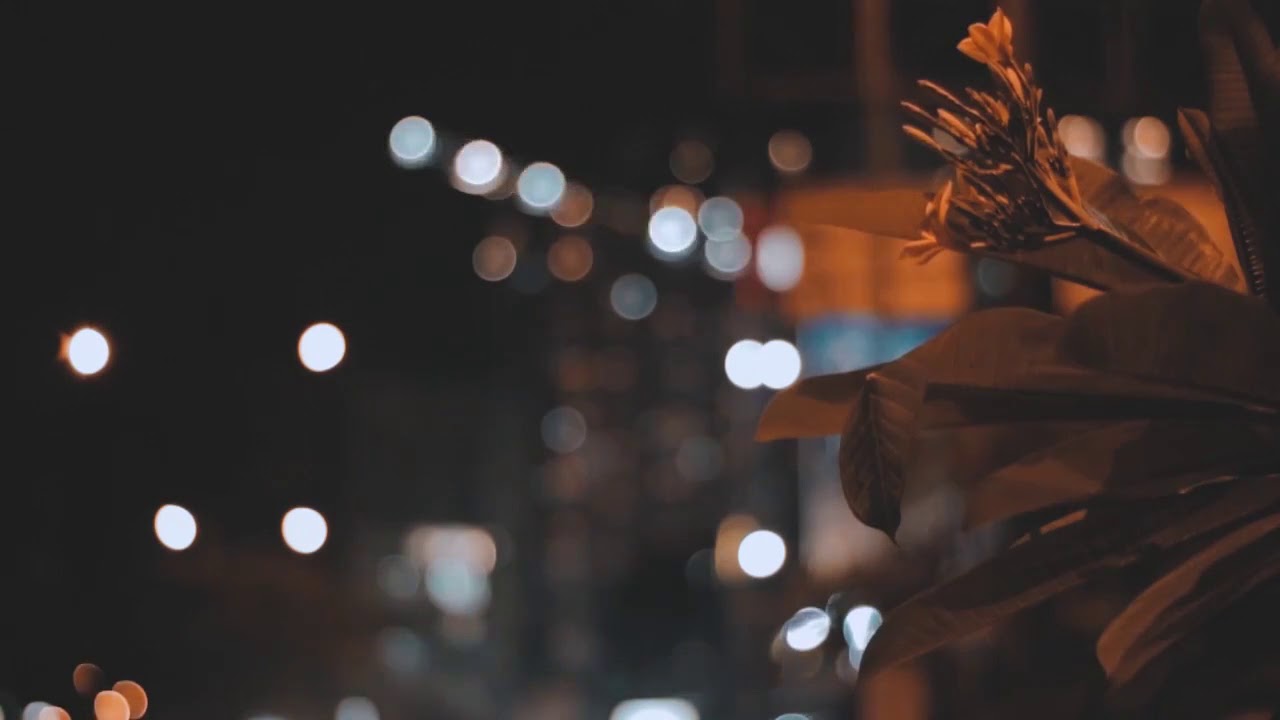 Summer Senses  -  Asa ( Lyric )