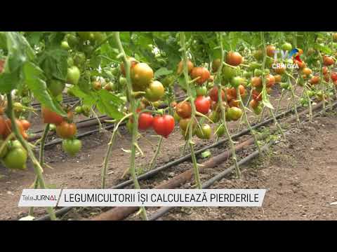 Video: Cum Se Calculează Pierderile Naturale