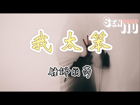 锤娜丽莎- 我太笨『是不是我太笨，只要你说的我全都信任 不能去拆穿的又何必追问。』【動態歌詞Lyrics】2022 热门歌曲 | 2022 新歌推送 | 抖音十大热门歌曲 | 最火最热门洗脑抖音歌曲
