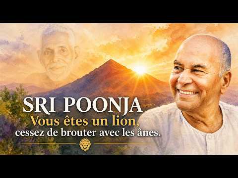 Sri Poonja - The Self (Part 4) [Advaita Vedanta]