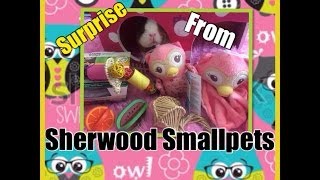 Surprise Package From Sherwood Smallpets!