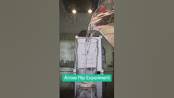You Will Be Shocked When You See This Easy Science Experiment? 😱