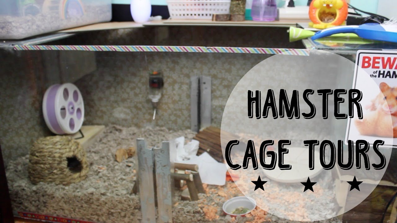 hamster cages ideas Hamster Cage Tours | August 2014