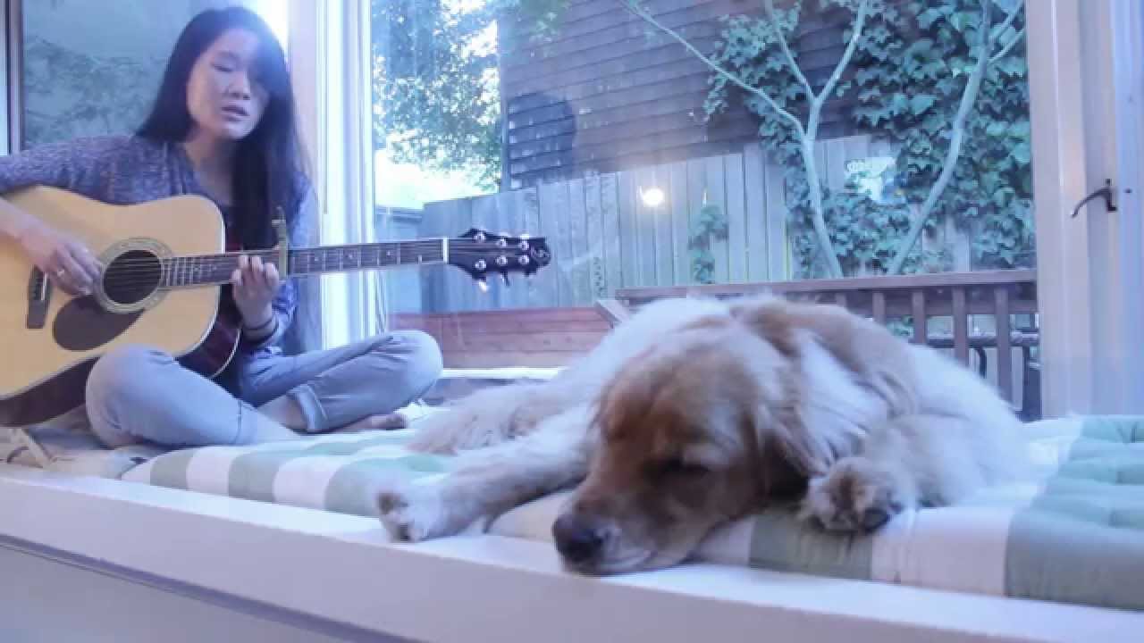 We Built a House (Original Song) - YouTube