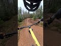 love this trail at Glenlivet ❤️ #mountainbiking #mtb #Glenlivet #mtblife