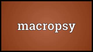 Macropsy Meaning