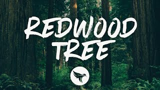 Cam - Redwood Tree (Lyrics)