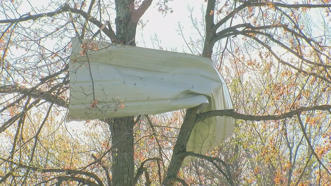 Severe storms cause damage in Clermont County's Wayne Township - YouTube