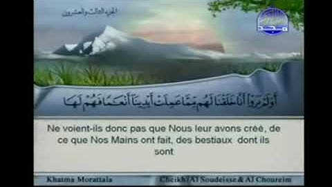 الجزء الثالث والعشرون 23 من القرآن الكريم بصوت الشيخين السديس والشريم