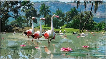 Building the ULTIMATE Tropical Zoo in Planet Zoo Franchise Mode