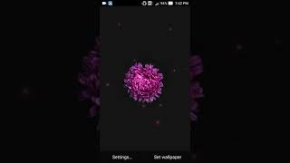 pretty flower wallpapers screenshot 4