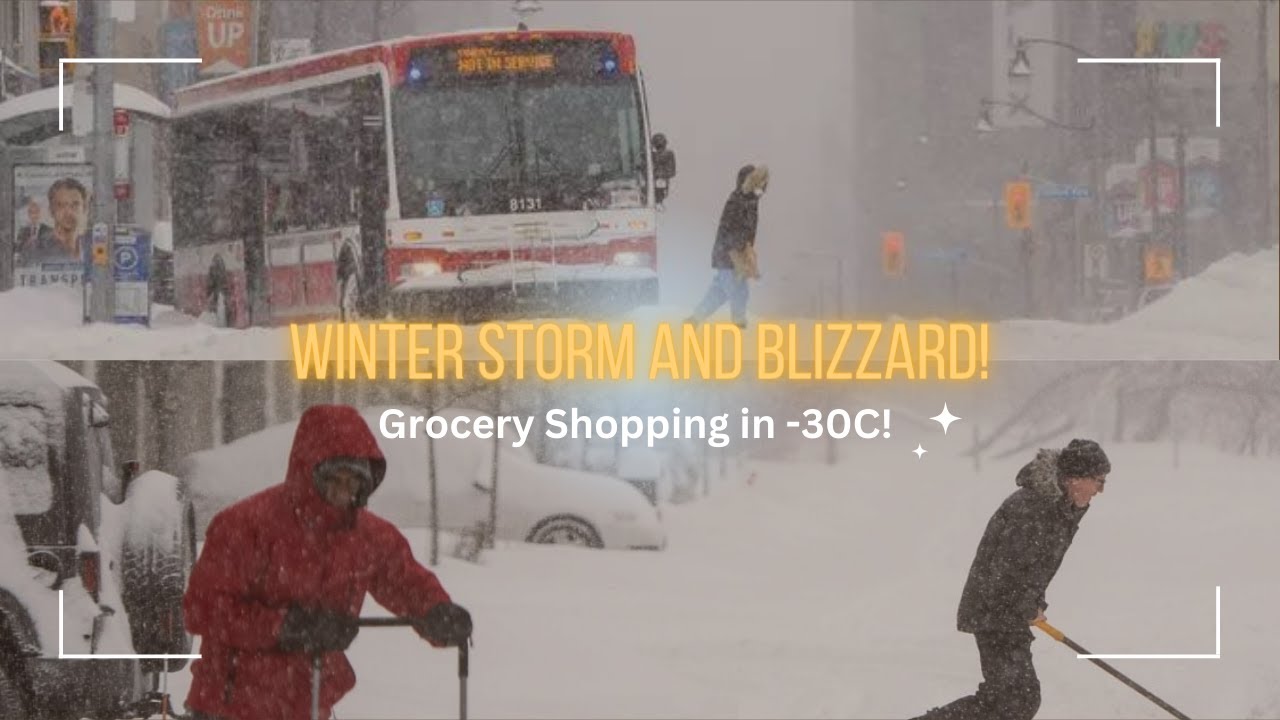 Grocery Shopping During Snow Storm | Lankan International Student| 