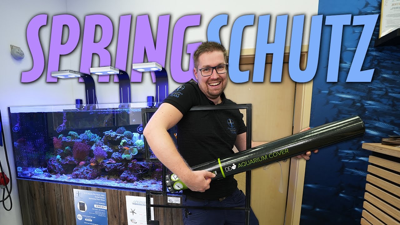 SPRINGSCHUTZ für das Anfängeraquarium - PlanktonPlus Aquaristik